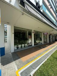 Ping-an Gardens (D16), Shop House #502174201